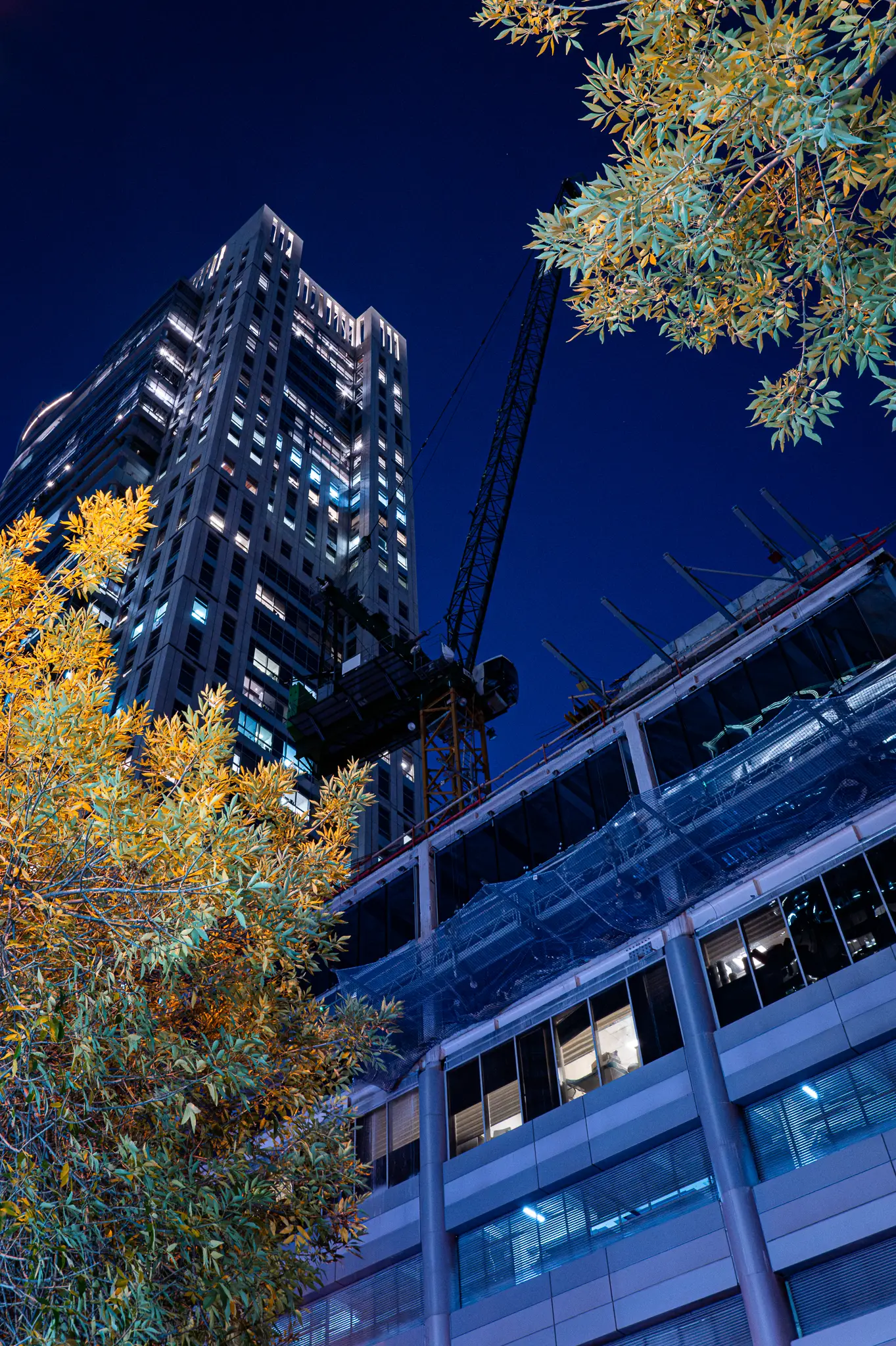 L1000173 Enhanced Nr