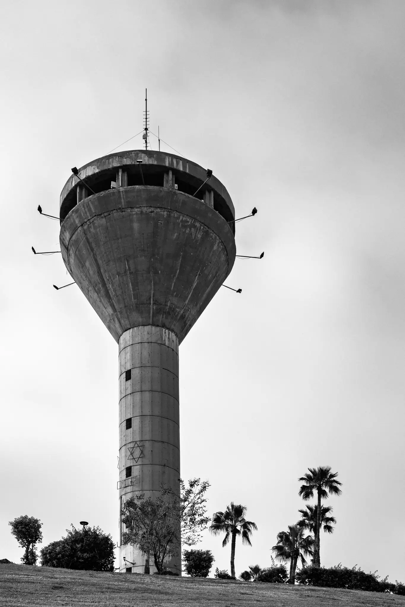 L1002597
