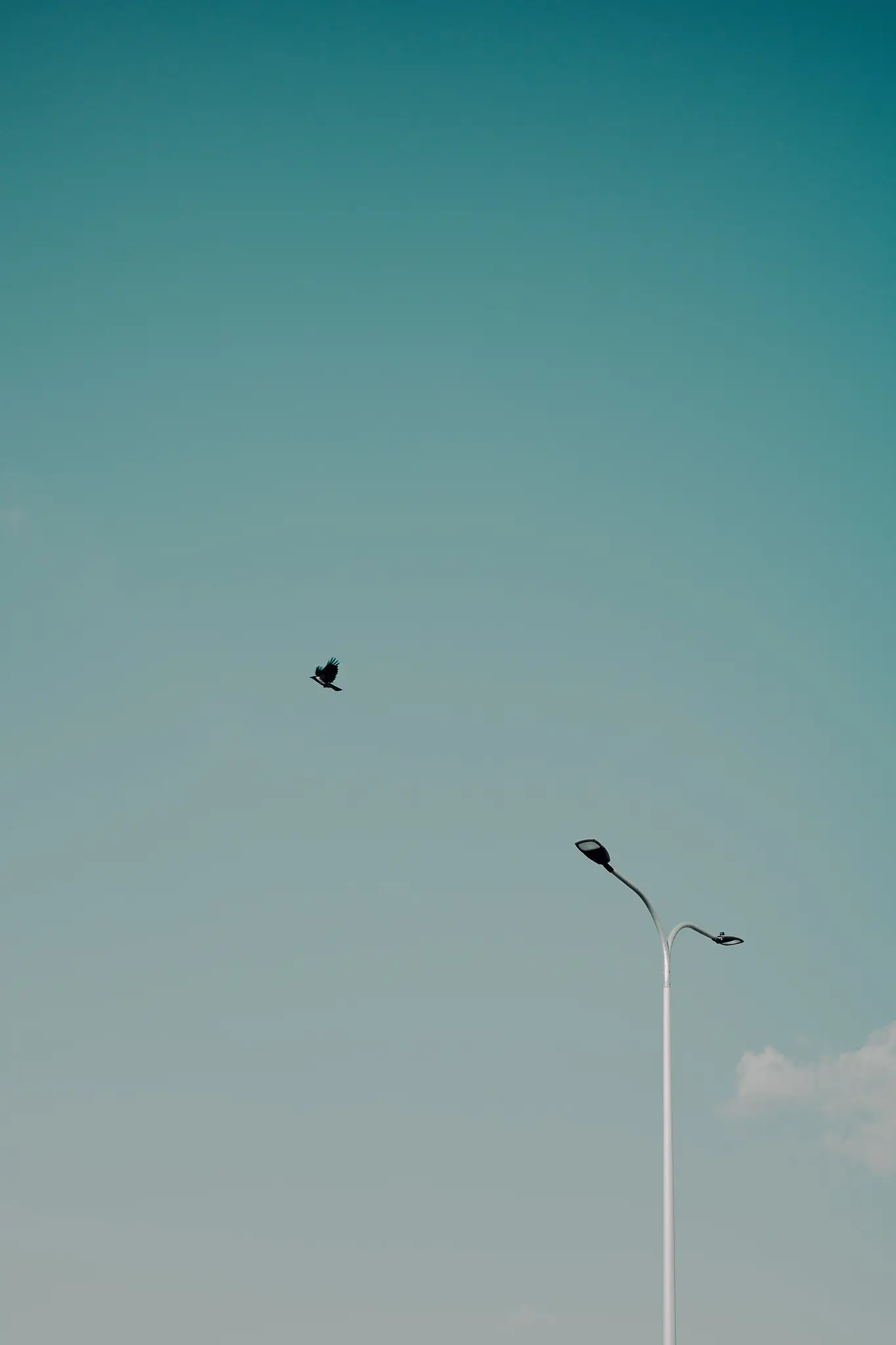R0000210